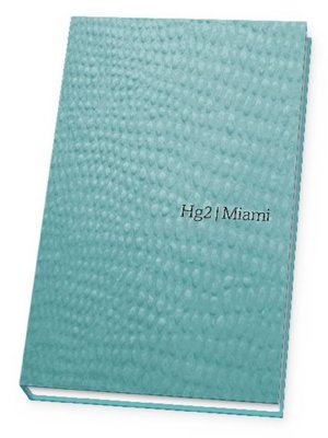 cover image of A Hedonist's Guide to Miami